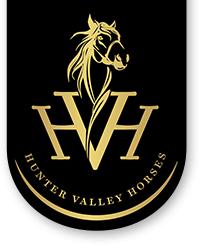 hunter valley horse riding tours