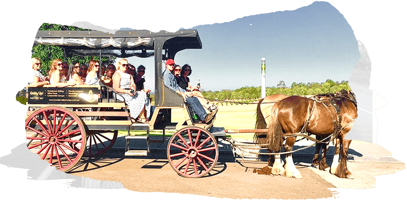 40 min carriage tour mobile feat img