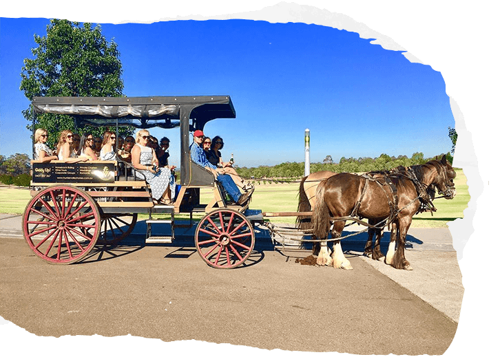 Services Hunter Valley Horses