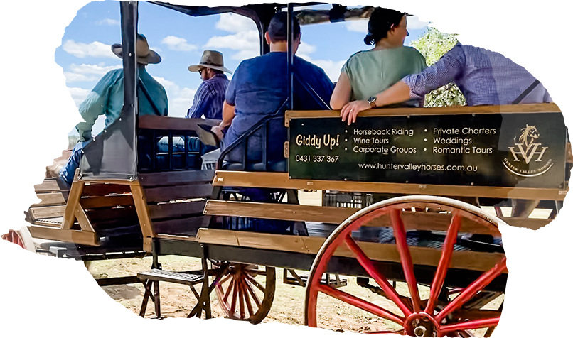 hunter valley wine tours horse and carriage