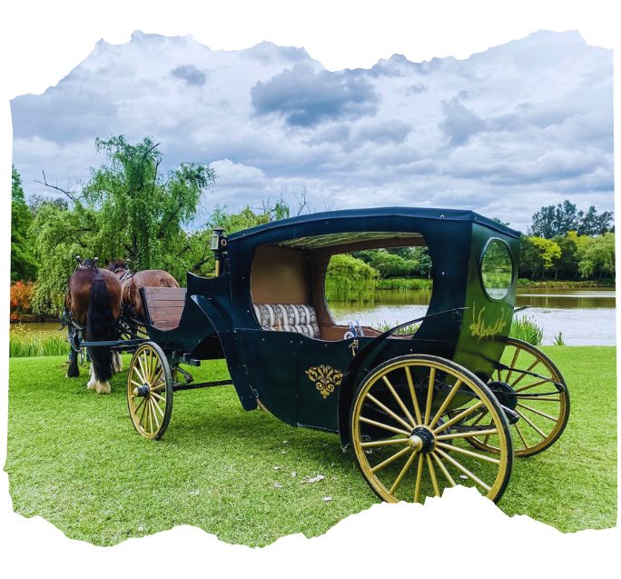 hunter valley wine tours horse and carriage