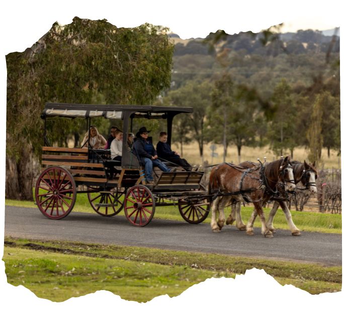 hunter valley wine tours horse and carriage