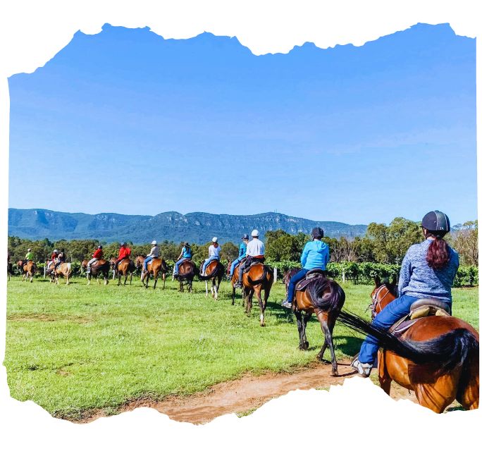 hunter valley horse riding tours