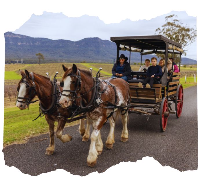 hunter valley wine tours horse and carriage